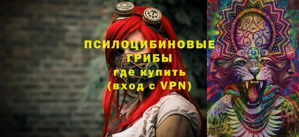 прущий лед Вяземский