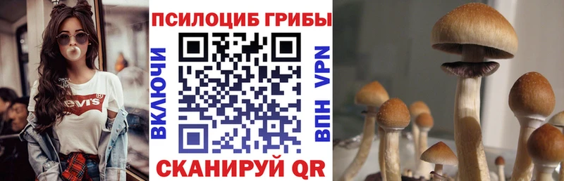 Галлюциногенные грибы MAGIC MUSHROOMS  Хвалынск 
